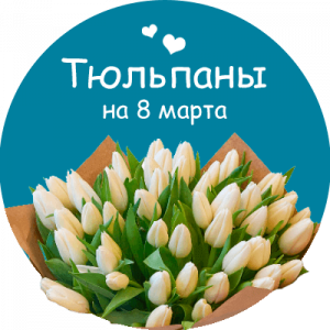 Купить тюльпаны в Калининце
